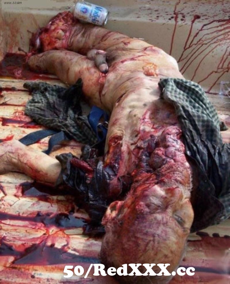Italian Shemale Models Gory Nude Dead Pictures