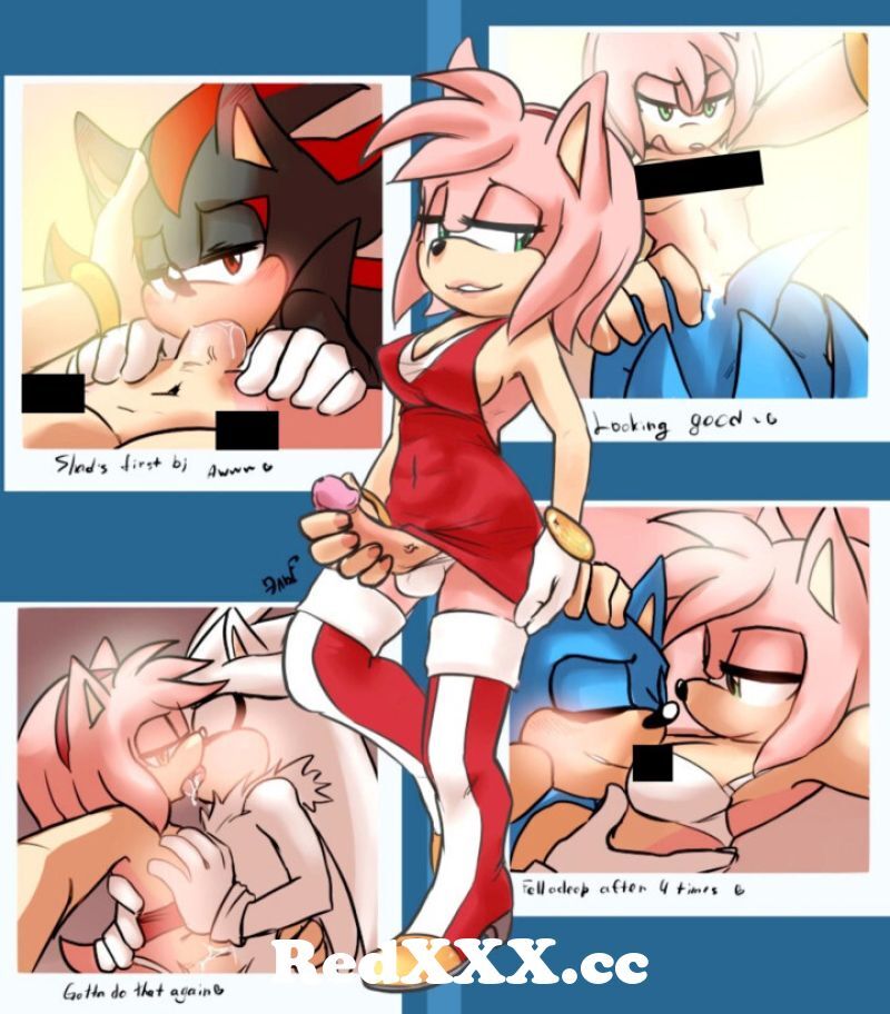 Shadow And Amy Porn - Amy Rose, Shadow, Sonic, Silver (Series: Sonic The Hedgehog) [Artist:  krazyelf] from amy rose miles prowler sonic sex anal Post - RedXXX.cc