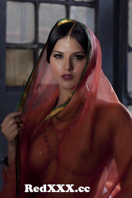 Sunny Leone looking soo HOT and SENSUAL in RED transparent saree â¤ï¸ from sunny  leone xxx 3gpactrees poonam kaur rk movie saree sex videosgaram bistar porn  moviefm girl lift carry boy xxxodia